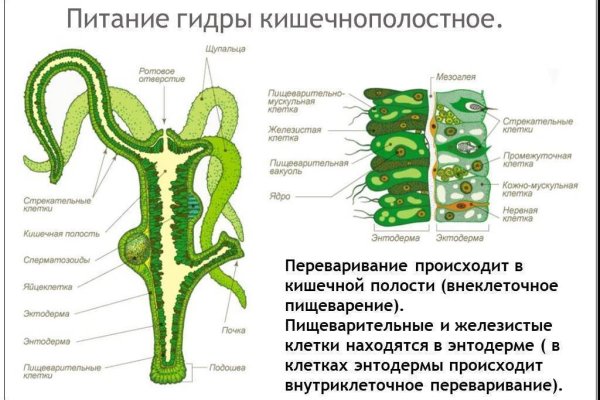 Как пополнить баланс на кракене