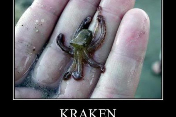 Kraken onion