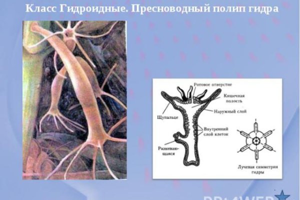 Кракен ссылка на тор официальная онион