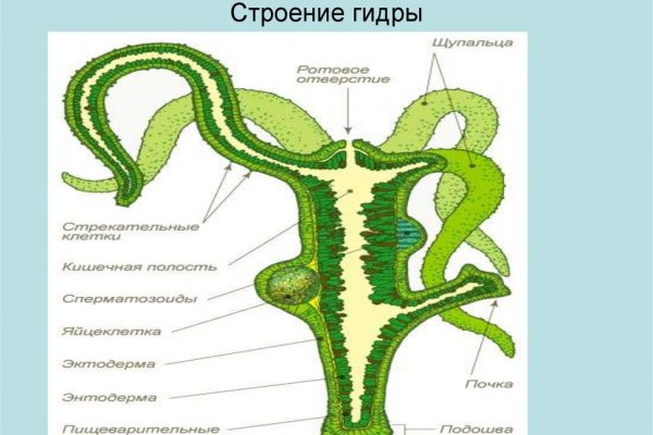 Действующая ссылка на кракен